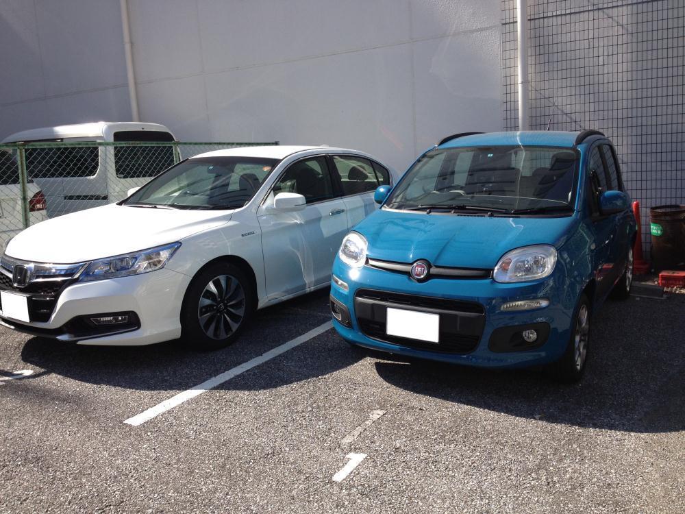 IMG_1231 - コピー.JPG